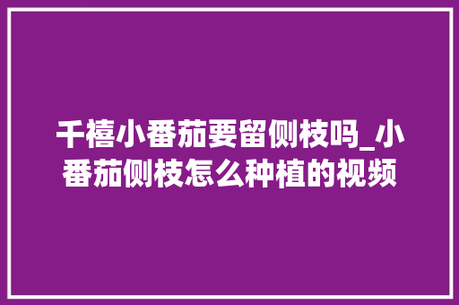 千禧小番茄要留侧枝吗_小番茄侧枝怎么种植的视频 千禧小番茄要留侧枝吗_小番茄侧枝怎么种植的视频 花朵知识