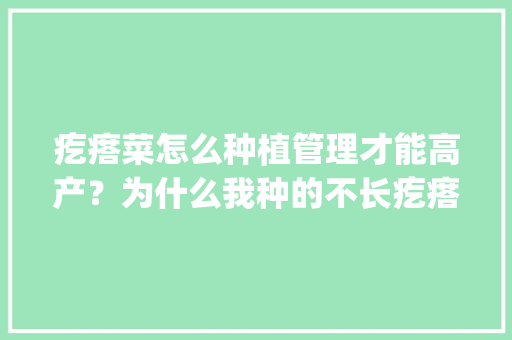 疙瘩菜怎么种植管理才能高产？为什么我种的不长疙瘩，光长叶子_精品蔬菜种植技巧图解视频