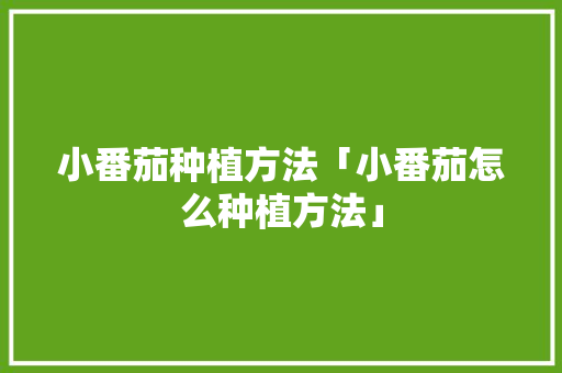 小番茄种植方法「小番茄怎么种植方法」