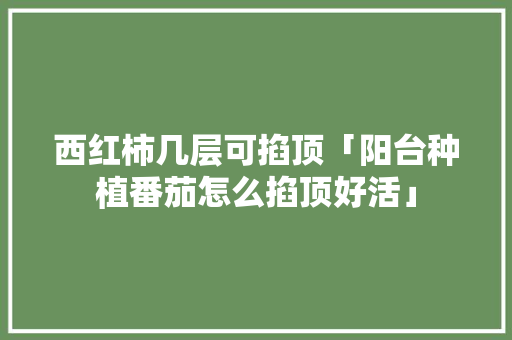 西红柿几层可掐顶「阳台种植番茄怎么掐顶好活」 西红柿几层可掐顶「阳台种植番茄怎么掐顶好活」 番茄病虫害防治