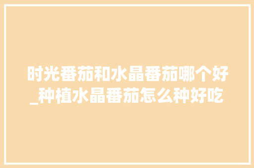时光番茄和水晶番茄哪个好_种植水晶番茄怎么种好吃呢