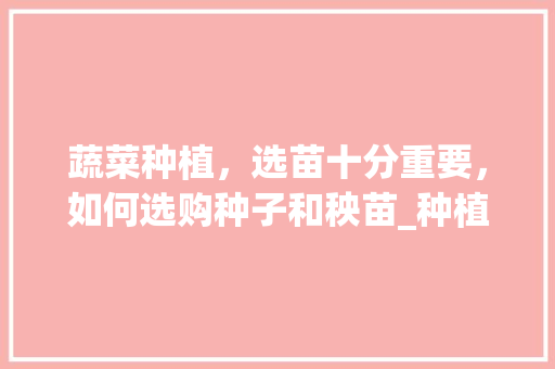 蔬菜种植，选苗十分重要，如何选购种子和秧苗_种植小技巧三农蔬菜种子怎么种