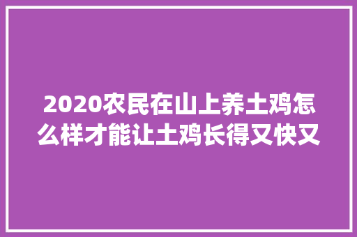 2020农民在山上养土鸡怎么样才能让土鸡长得又快又肥美_广东蔬菜种植小技巧视频教程