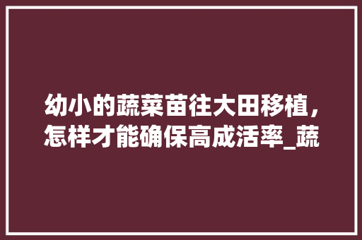 幼小的蔬菜苗往大田移植，怎样才能确保高成活率_蔬菜种植箱移苗技巧视频 幼小的蔬菜苗往大田移植，怎样才能确保高成活率_蔬菜种植箱移苗技巧视频 土壤施肥