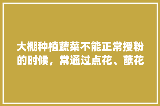 大棚种植蔬菜不能正常授粉的时候，常通过点花、蘸花提高坐果率，具体如何做_蔬菜种植小技巧小妙招视频
