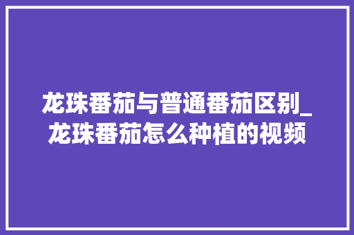 龙珠番茄与普通番茄区别_龙珠番茄怎么种植的视频