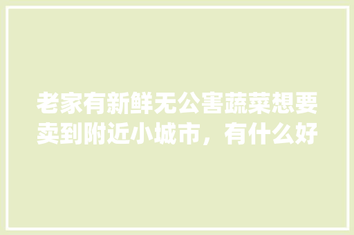 老家有新鲜无公害蔬菜想要卖到附近小城市，有什么好的办法或者渠道吗_无公害蔬菜种植技巧图片大全 老家有新鲜无公害蔬菜想要卖到附近小城市，有什么好的办法或者渠道吗_无公害蔬菜种植技巧图片大全 花朵知识