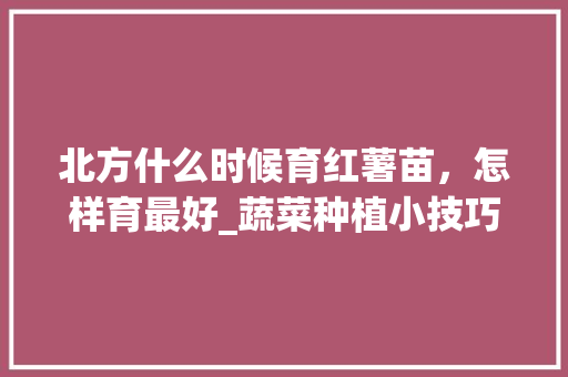 北方什么时候育红薯苗，怎样育最好_蔬菜种植小技巧红薯视频教程