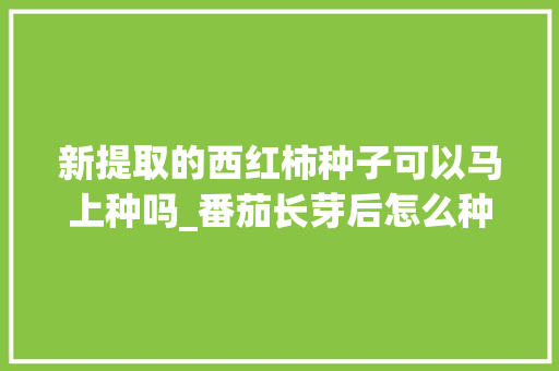 新提取的西红柿种子可以马上种吗_番茄长芽后怎么种植视频 新提取的西红柿种子可以马上种吗_番茄长芽后怎么种植视频 番茄种植技巧