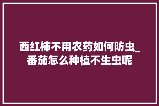 西红柿不用农药如何防虫_番茄怎么种植不生虫呢