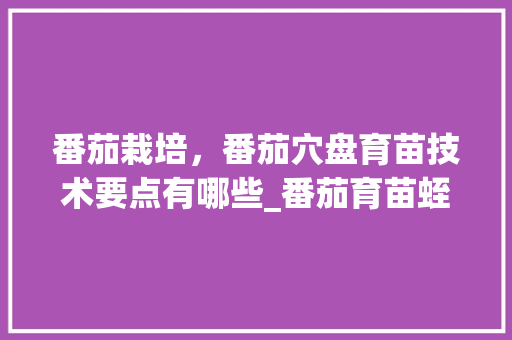 番茄栽培,番茄穴盘育苗技术要点有哪些_番茄育苗蛭石怎么种植的视频 种植技巧 番茄栽培,番茄穴盘育苗技术要点有哪些_番茄育苗蛭石怎么种植的视频 番茄栽培,番茄穴盘育苗技术要点有哪些_番茄育苗蛭石怎么种植的视频 种植技巧