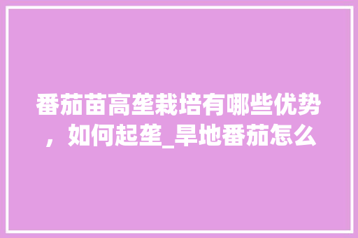 番茄苗高垄栽培有哪些优势，如何起垄_旱地番茄怎么种植视频