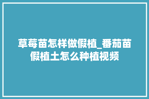 草莓苗怎样做假植_番茄苗假植土怎么种植视频 草莓苗怎样做假植_番茄苗假植土怎么种植视频 土壤施肥