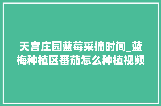 天宫庄园蓝莓采摘时间_蓝梅种植区番茄怎么种植视频