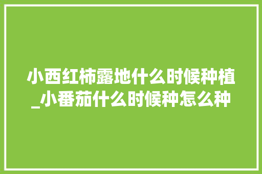 小西红柿露地什么时候种植_小番茄什么时候种怎么种 小西红柿露地什么时候种植_小番茄什么时候种怎么种 农业常识