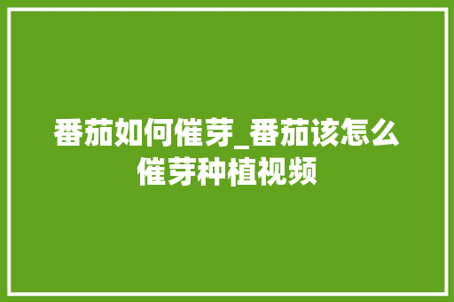 番茄如何催芽_番茄该怎么催芽种植视频 土壤施肥 番茄如何催芽_番茄该怎么催芽种植视频 番茄如何催芽_番茄该怎么催芽种植视频 土壤施肥