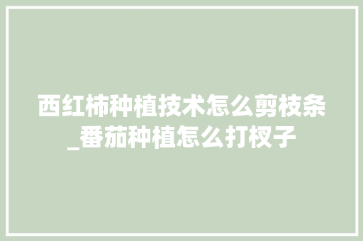 西红柿种植技术怎么剪枝条_番茄种植怎么打杈子