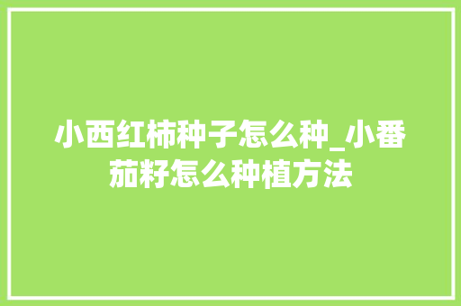 小西红柿种子怎么种_小番茄籽怎么种植方法 小西红柿种子怎么种_小番茄籽怎么种植方法 番茄种植技巧