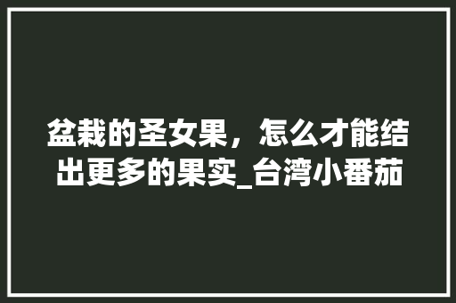 盆栽的圣女果，怎么才能结出更多的果实_台湾小番茄怎么种植的 盆栽的圣女果，怎么才能结出更多的果实_台湾小番茄怎么种植的 番茄种植技巧