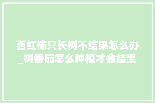 西红柿只长树不结果怎么办_树番茄怎么种植才会结果呢 西红柿只长树不结果怎么办_树番茄怎么种植才会结果呢 番茄种植技巧