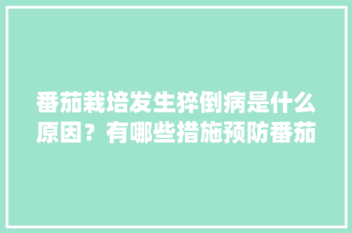 番茄栽培发生猝倒病是什么原因？有哪些措施预防番茄发生猝倒病_袋装种植番茄怎么种植的
