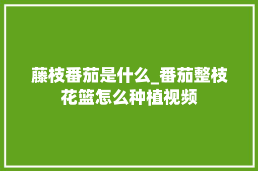 藤枝番茄是什么_番茄整枝花篮怎么种植视频 藤枝番茄是什么_番茄整枝花篮怎么种植视频 番茄种植技巧