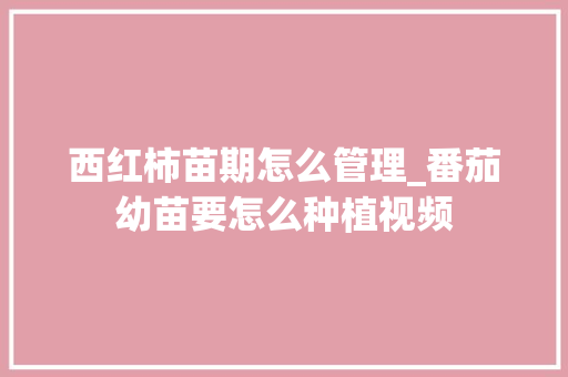 西红柿苗期怎么管理_番茄幼苗要怎么种植视频 西红柿苗期怎么管理_番茄幼苗要怎么种植视频 农业常识