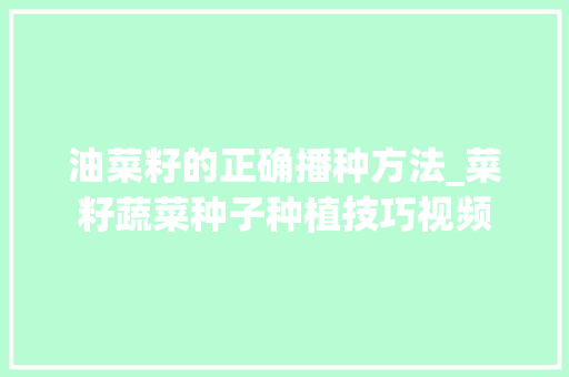油菜籽的正确播种方法_菜籽蔬菜种子种植技巧视频