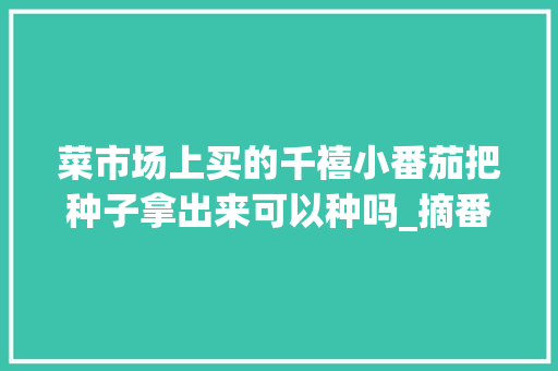 菜市场上买的千禧小番茄把种子拿出来可以种吗_摘番茄树种子怎么种植视频 菜市场上买的千禧小番茄把种子拿出来可以种吗_摘番茄树种子怎么种植视频 土壤施肥