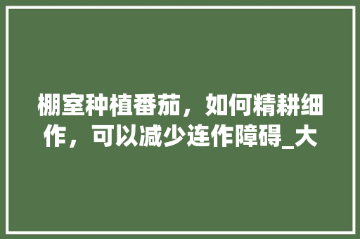 棚室种植番茄，如何精耕细作，可以减少连作障碍_大棚番茄怎么整地种植视频
