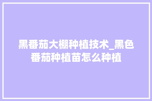 黑番茄大棚种植技术_黑色番茄种植苗怎么种植
