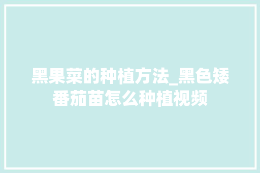 黑果菜的种植方法_黑色矮番茄苗怎么种植视频 黑果菜的种植方法_黑色矮番茄苗怎么种植视频 番茄种植技巧