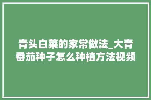 青头白菜的家常做法_大青番茄种子怎么种植方法视频 青头白菜的家常做法_大青番茄种子怎么种植方法视频 番茄种植技巧