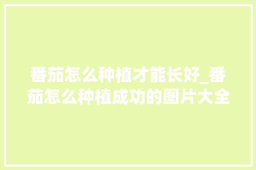 番茄怎么种植才能长好_番茄怎么种植成功的图片大全