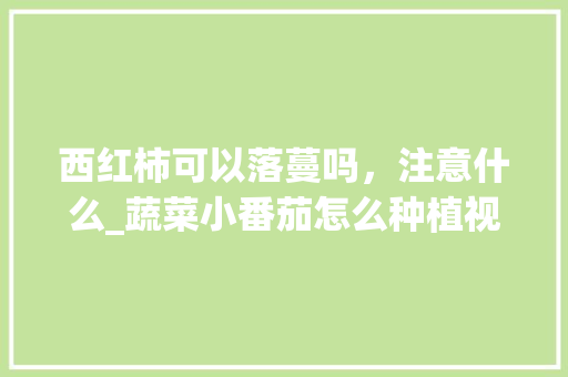 西红柿可以落蔓吗，注意什么_蔬菜小番茄怎么种植视频教程