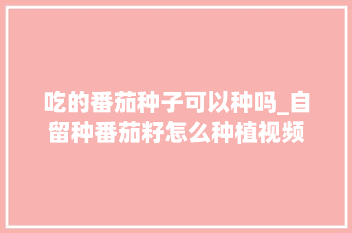吃的番茄种子可以种吗_自留种番茄籽怎么种植视频 吃的番茄种子可以种吗_自留种番茄籽怎么种植视频 番茄种植技巧