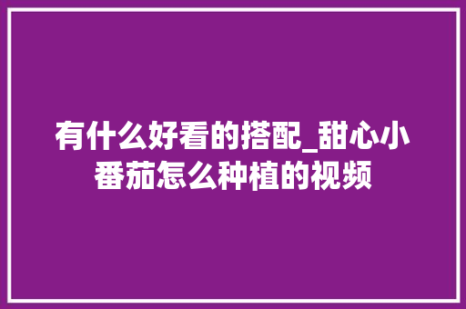 有什么好看的搭配_甜心小番茄怎么种植的视频 有什么好看的搭配_甜心小番茄怎么种植的视频 农业常识