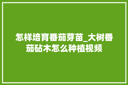 怎样培育番茄芽苗_大树番茄砧木怎么种植视频 番茄种植技巧 怎样培育番茄芽苗_大树番茄砧木怎么种植视频 怎样培育番茄芽苗_大树番茄砧木怎么种植视频 番茄种植技巧