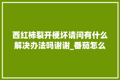 西红柿裂开梗坏请问有什么解决办法吗谢谢_番茄怎么种植才不会开裂呢 西红柿裂开梗坏请问有什么解决办法吗谢谢_番茄怎么种植才不会开裂呢 番茄病虫害防治