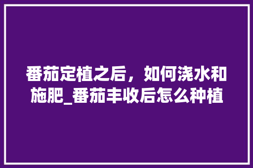 番茄定植之后，如何浇水和施肥_番茄丰收后怎么种植视频 番茄定植之后，如何浇水和施肥_番茄丰收后怎么种植视频 番茄病虫害防治