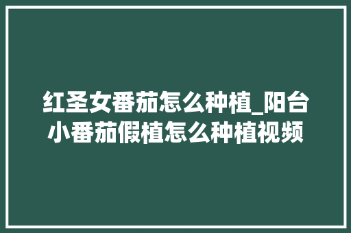红圣女番茄怎么种植_阳台小番茄假植怎么种植视频 红圣女番茄怎么种植_阳台小番茄假植怎么种植视频 番茄病虫害防治
