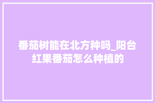 番茄树能在北方种吗_阳台红果番茄怎么种植的 番茄树能在北方种吗_阳台红果番茄怎么种植的 农业常识