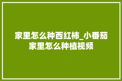 家里怎么种西红柿_小番茄家里怎么种植视频