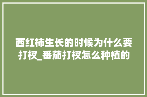 西红柿生长的时候为什么要打杈_番茄打杈怎么种植的视频