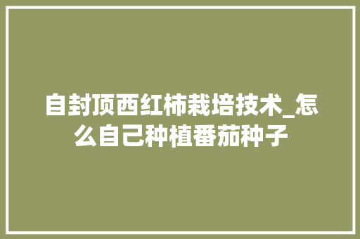 自封顶西红柿栽培技术_怎么自己种植番茄种子 自封顶西红柿栽培技术_怎么自己种植番茄种子 种植技巧