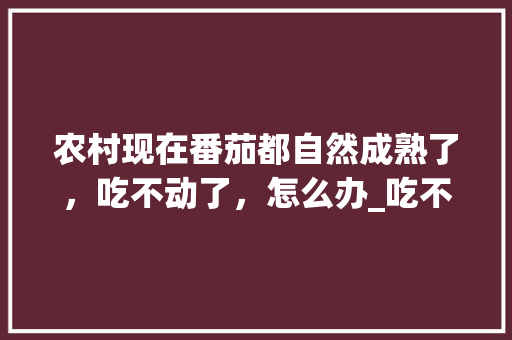 农村现在番茄都自然成熟了，吃不动了，怎么办_吃不完的番茄怎么种植视频 农村现在番茄都自然成熟了，吃不动了，怎么办_吃不完的番茄怎么种植视频 花朵知识