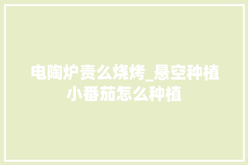 电陶炉责么烧烤_悬空种植小番茄怎么种植