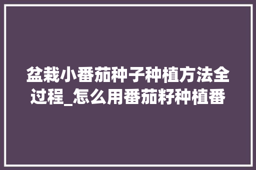 盆栽小番茄种子种植方法全过程_怎么用番茄籽种植番茄种子 盆栽小番茄种子种植方法全过程_怎么用番茄籽种植番茄种子 土壤施肥