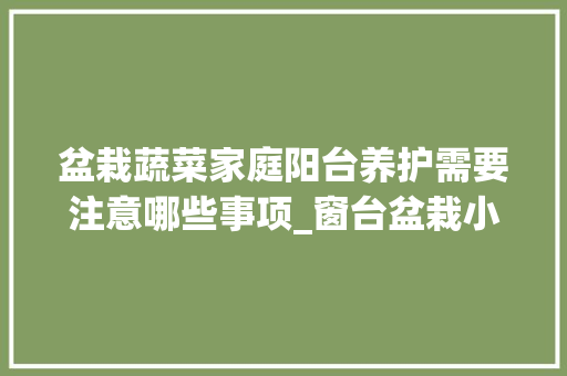 盆栽蔬菜家庭阳台养护需要注意哪些事项_窗台盆栽小番茄怎么种植视频 盆栽蔬菜家庭阳台养护需要注意哪些事项_窗台盆栽小番茄怎么种植视频 番茄种植技巧
