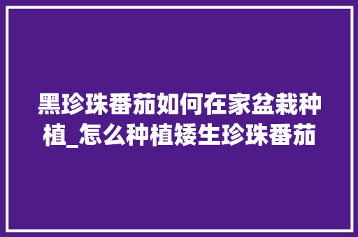 黑珍珠番茄如何在家盆栽种植_怎么种植矮生珍珠番茄视频 黑珍珠番茄如何在家盆栽种植_怎么种植矮生珍珠番茄视频 土壤施肥